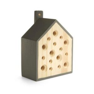 Kikkerland bijenhotel