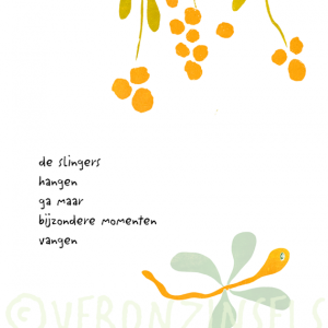 Veronzinsels zzzoem kaart mooie momenten